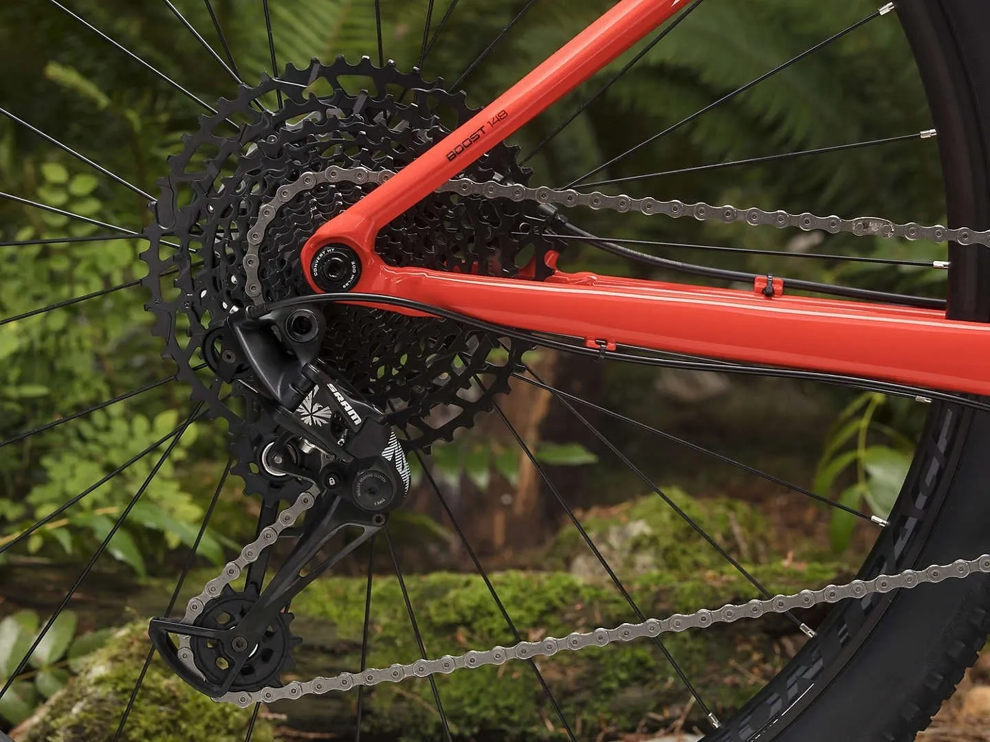 Bicicleta MTB Trail Trek Procaliber 6 Rojo 2019