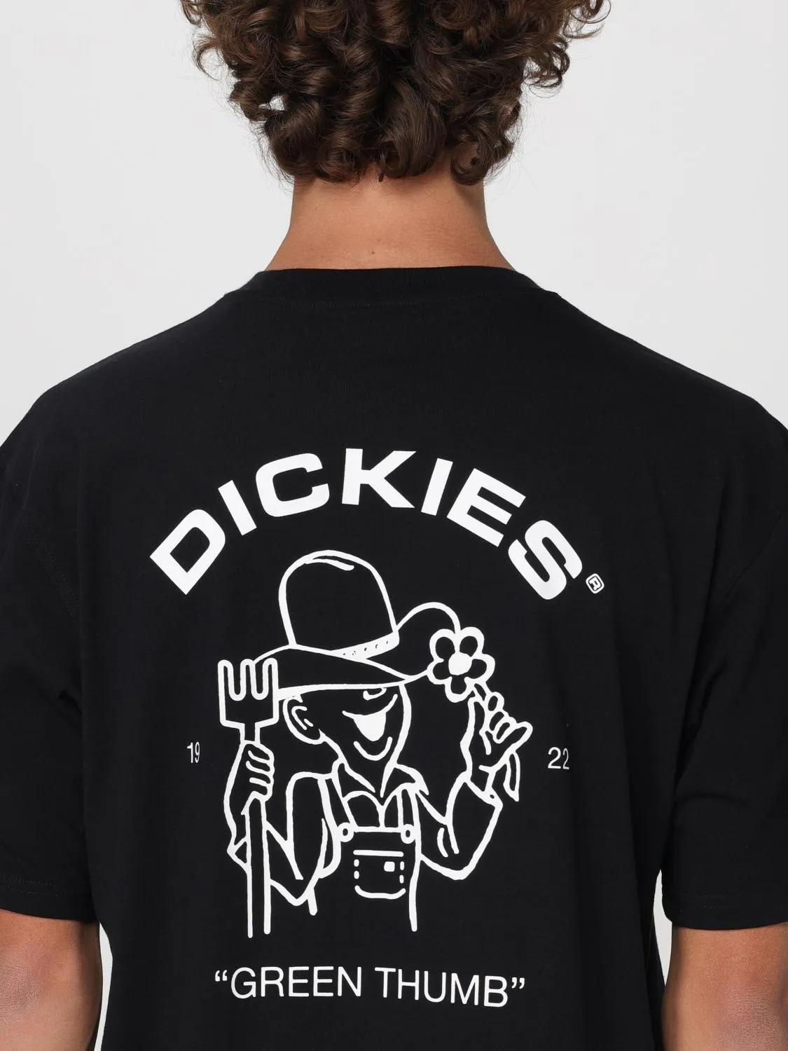 Camiseta hombre Dickies